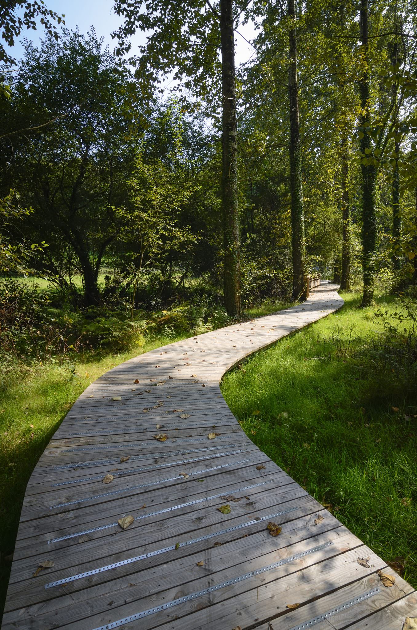 Le Blavet, chemin dans les bois Inzinzac-Lochrist (Morbihan)