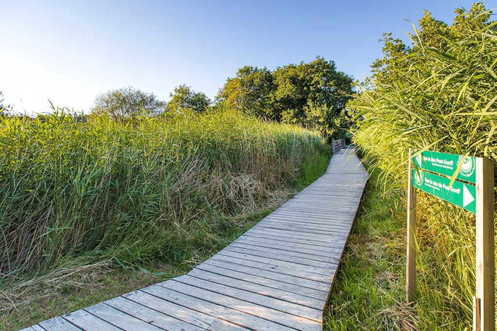 Chemin de randonnée pour balade à Pont-Scorff