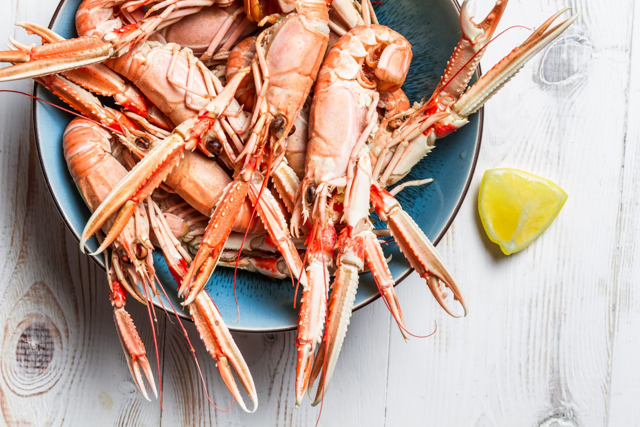 Assiette de Langoustines et citron à Lorient.