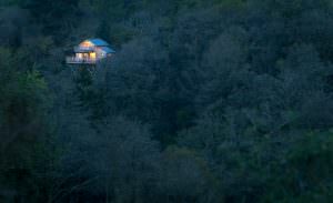 Quistinic, cabane perchée dans les arbres