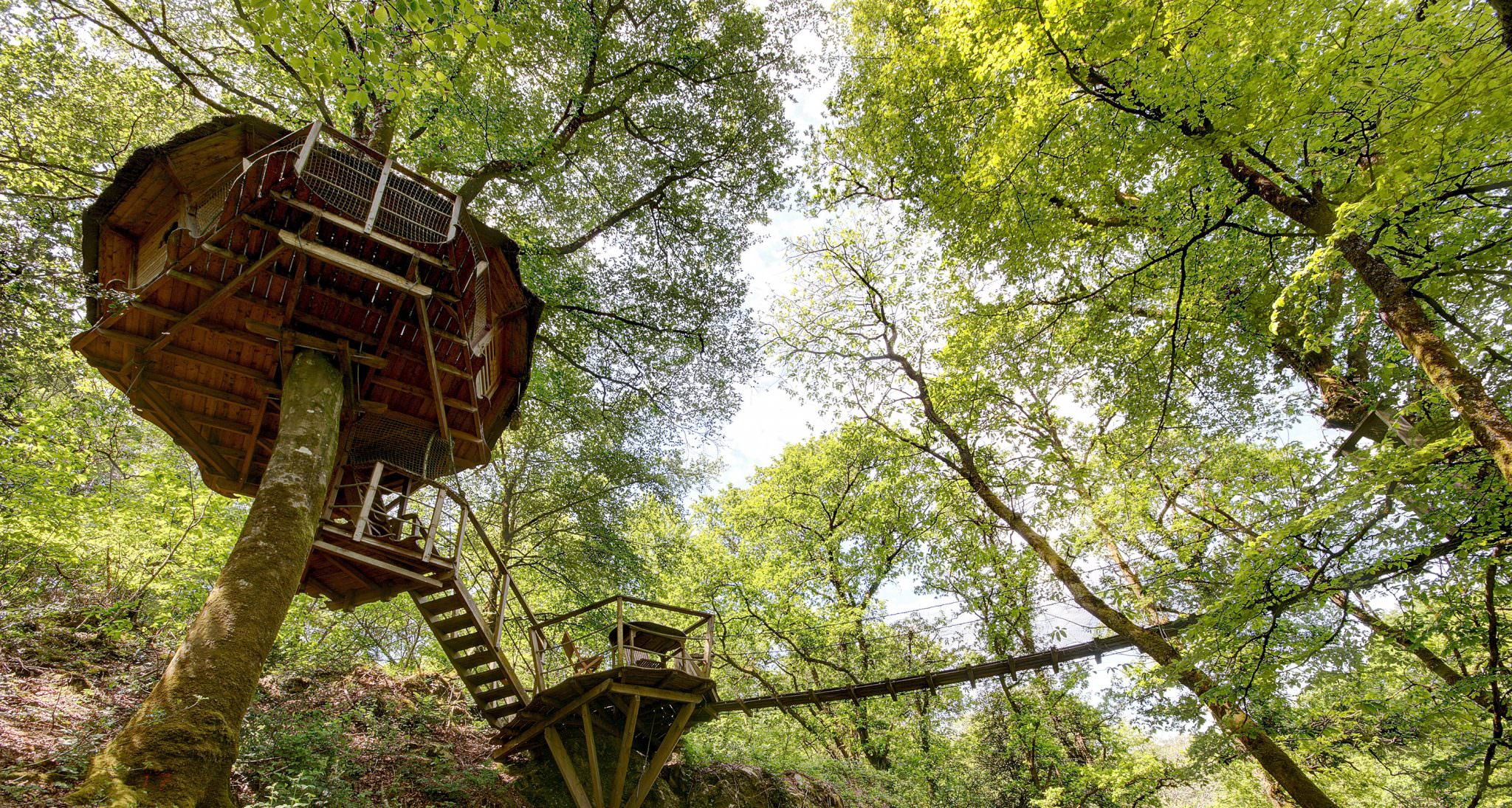 Quistinic, cabanes dans les arbres