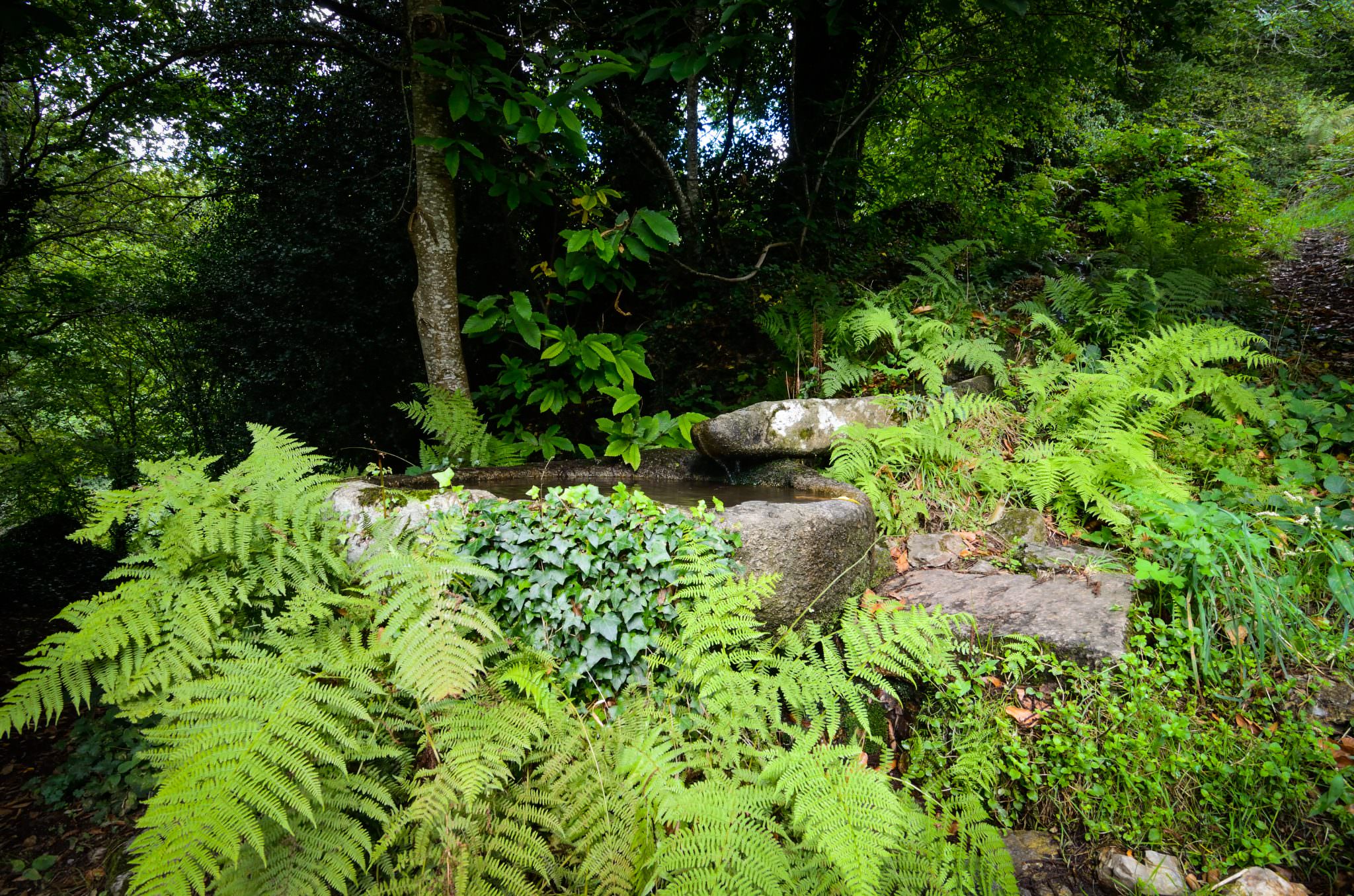 La fontaine trou au loup, Poblei Ardran, à Quistinic