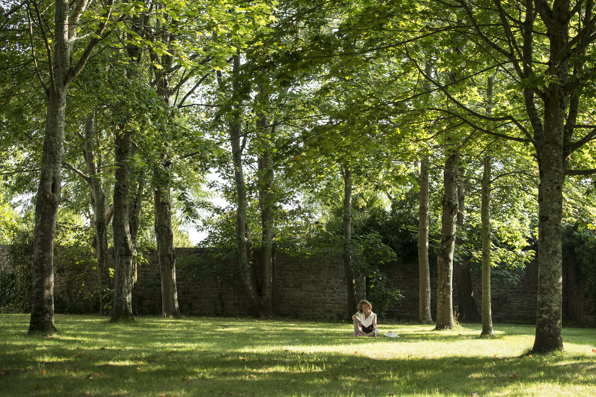 Les jardins de l'Enclos du Port à Lorient.