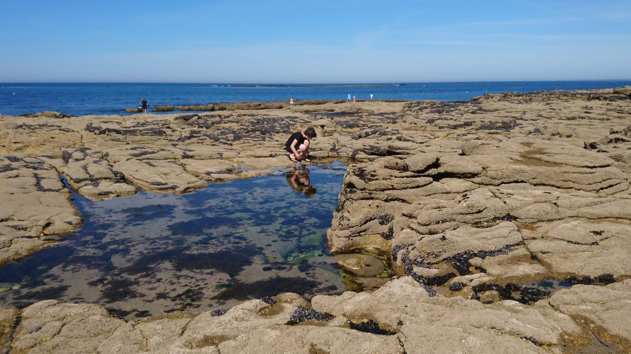 Pêche à pied autour du Fort Bloqué à Ploemeur (Morbihan)