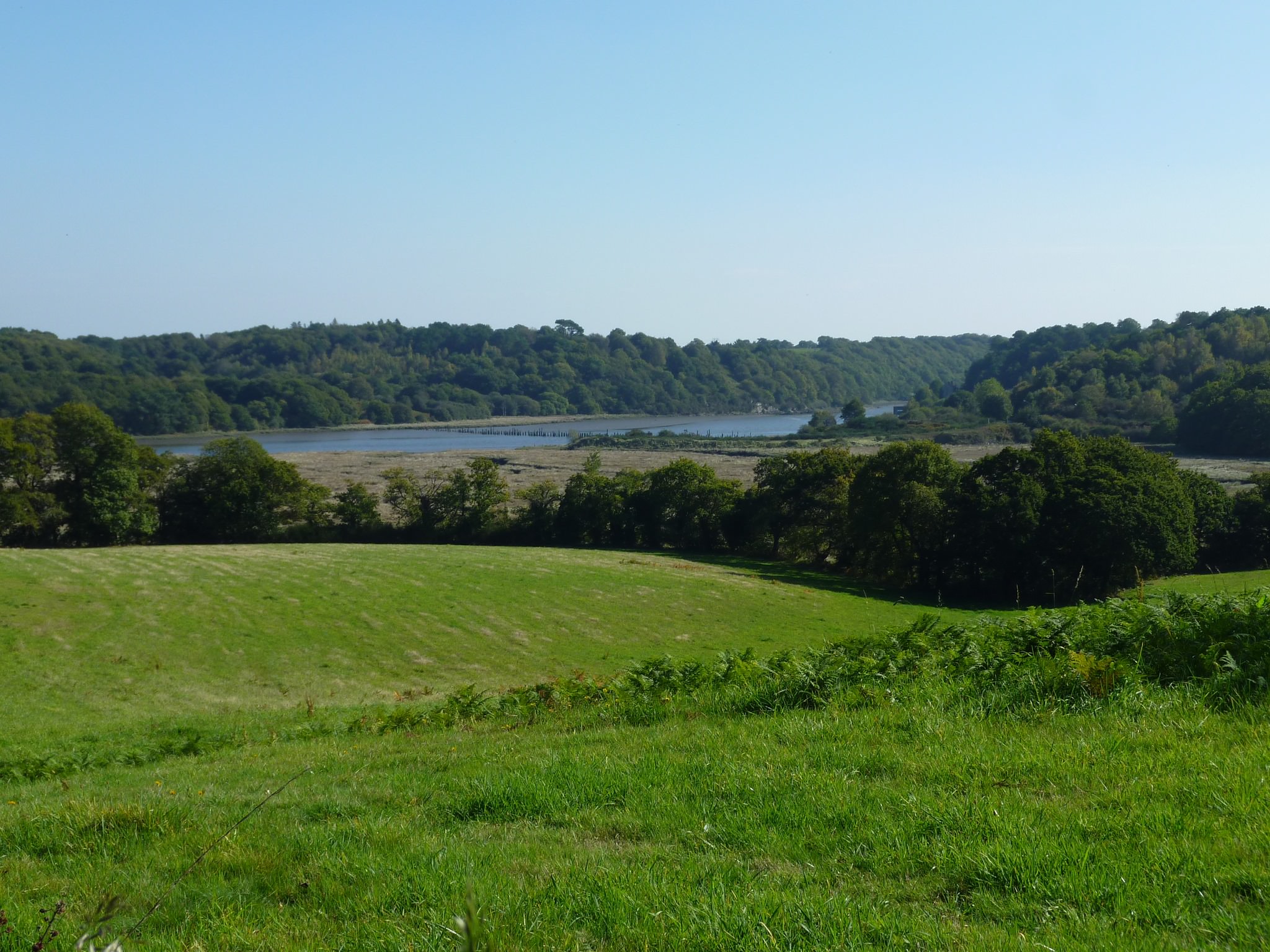 Prairie donnant sur le scorff au Roze, Quéven