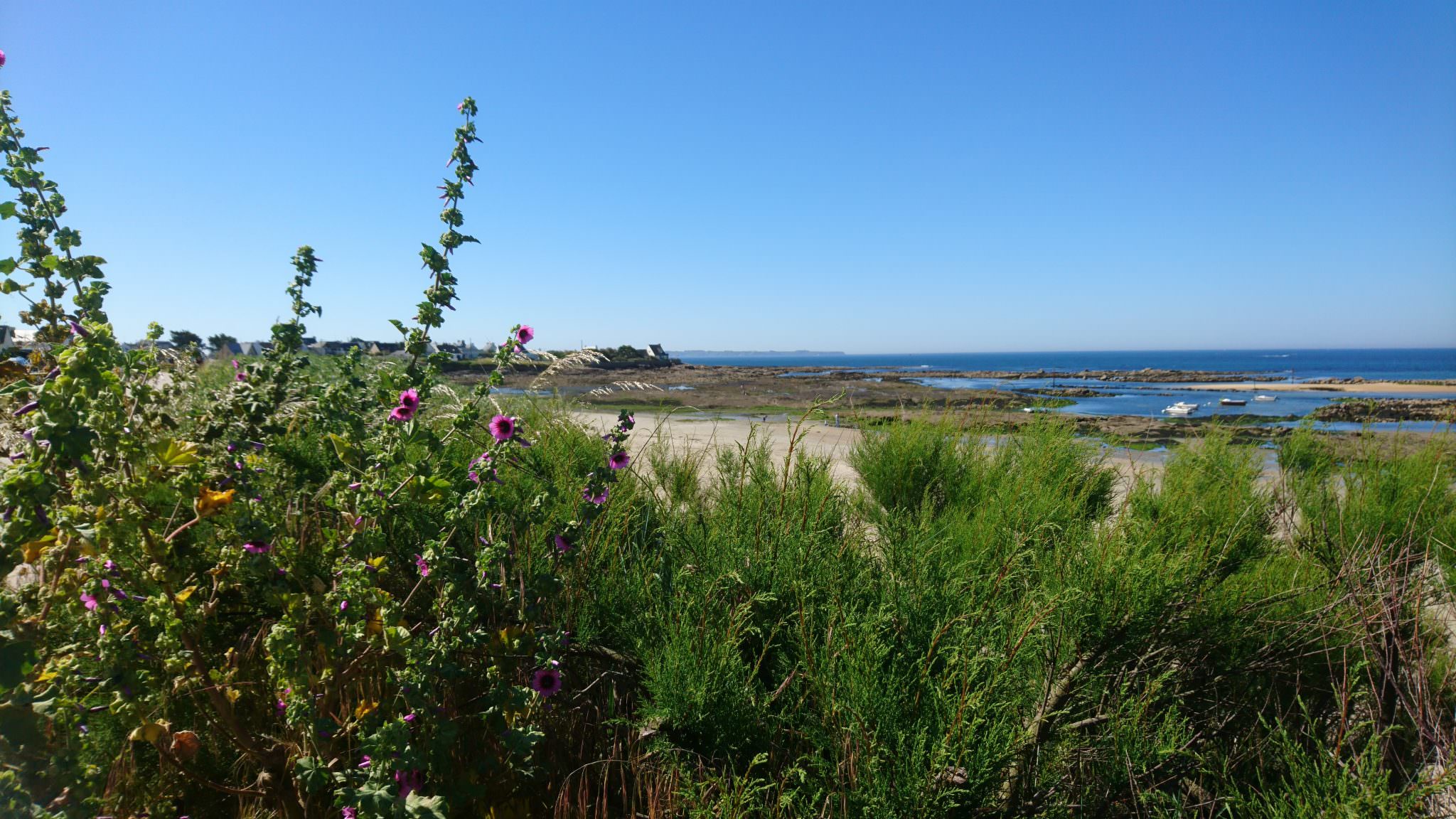 Plage à voir à faire