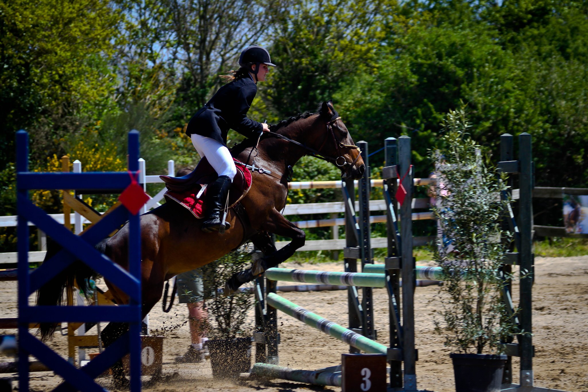 Équitation à Kerguélen Larmor-Plage