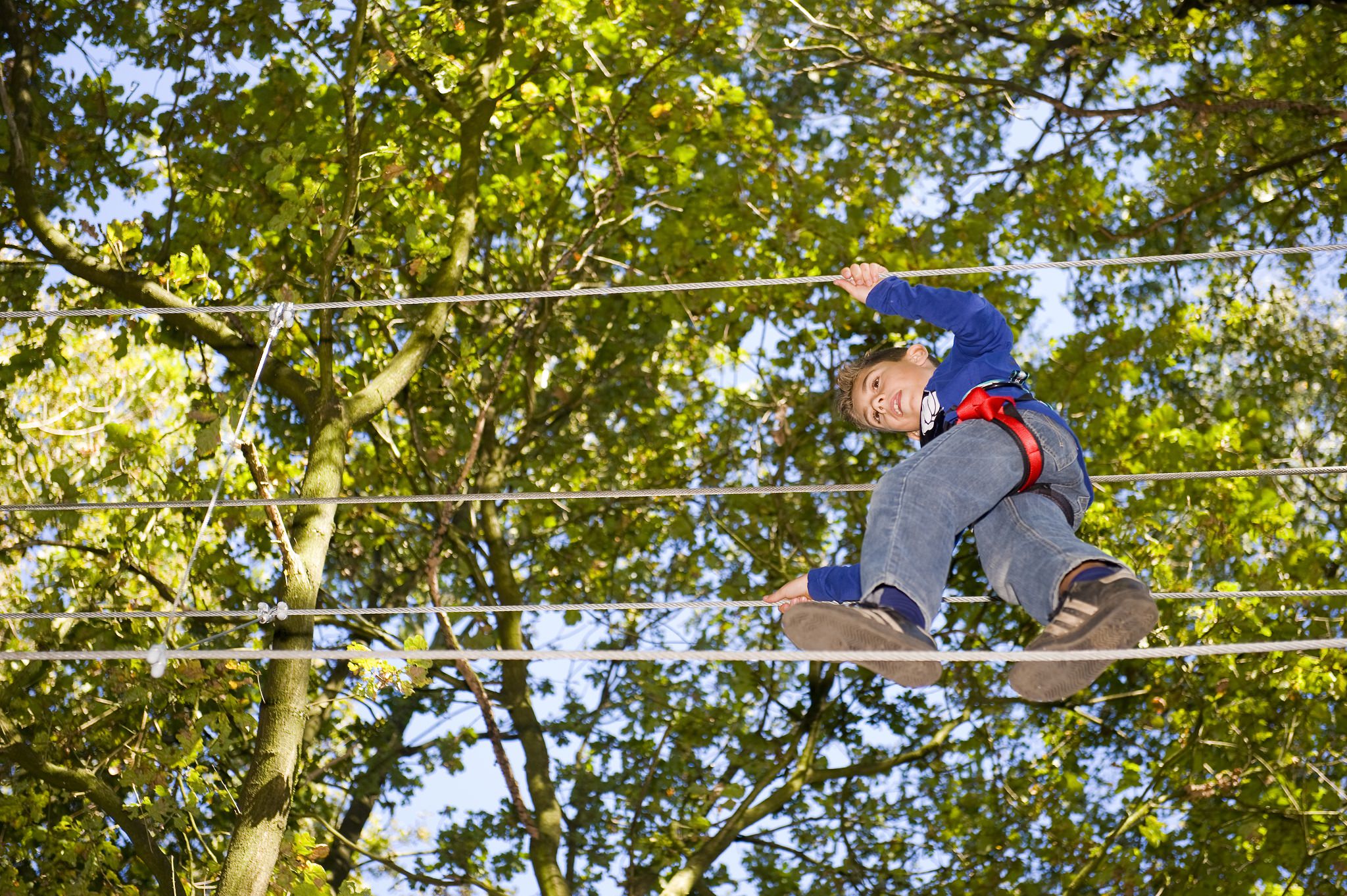 Enfant en équilibre accrobranche