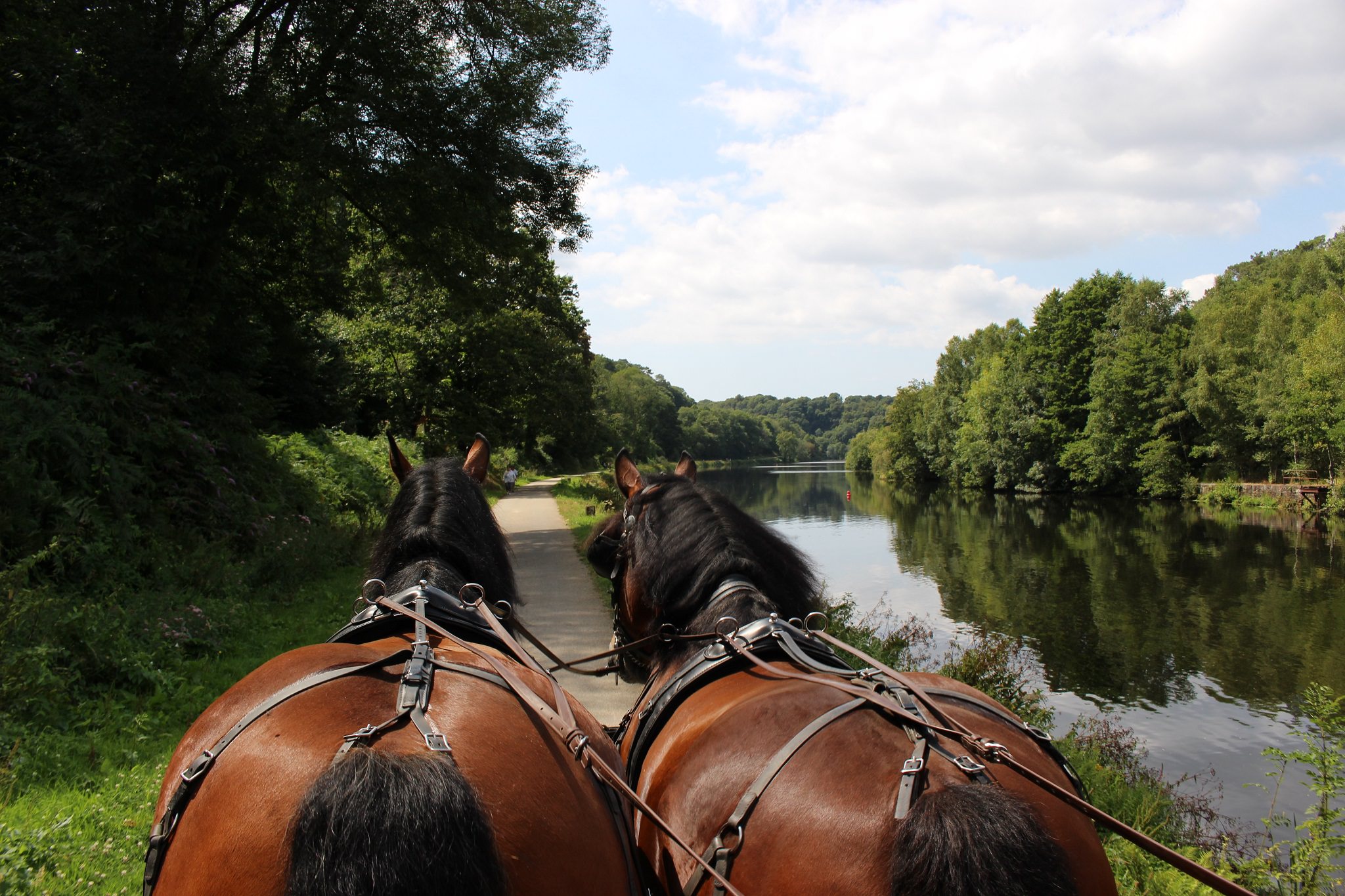 Balades en calèche sur le chemin de halage