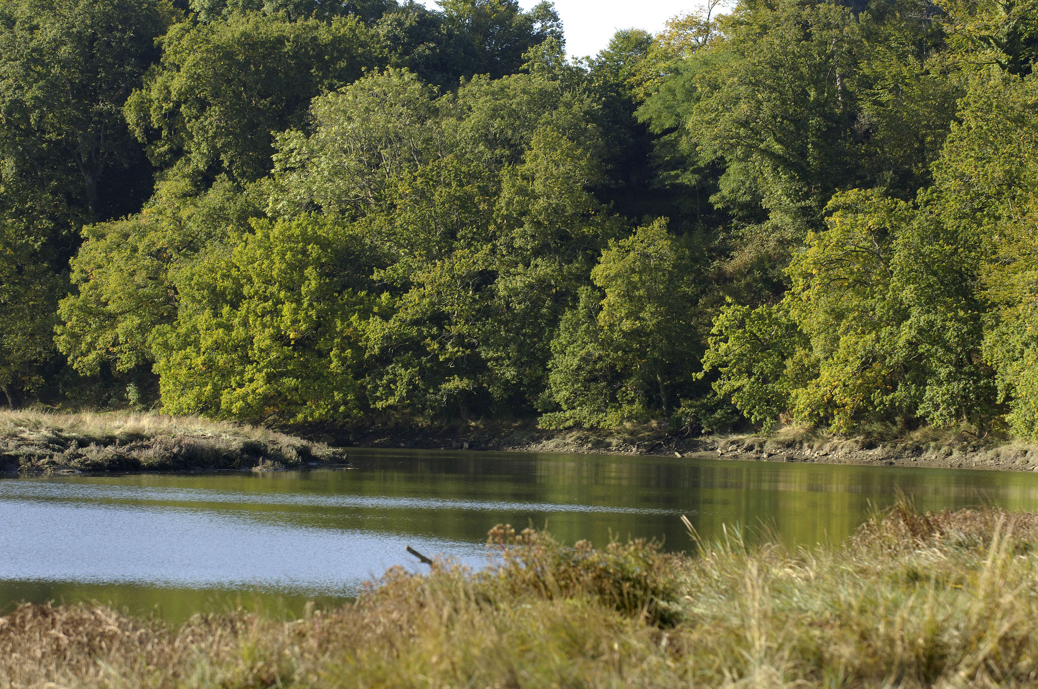 Rivière du Scorff dans la campagne quévenoise