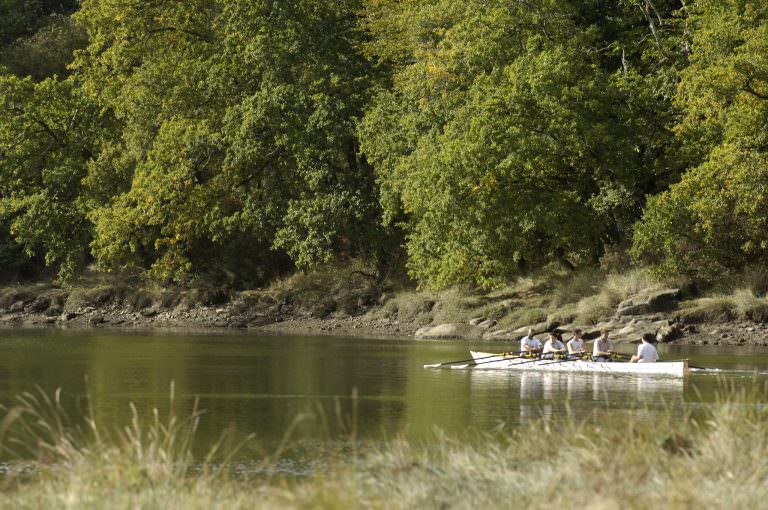 Aviron sur la rivière du Scorff à Quéven