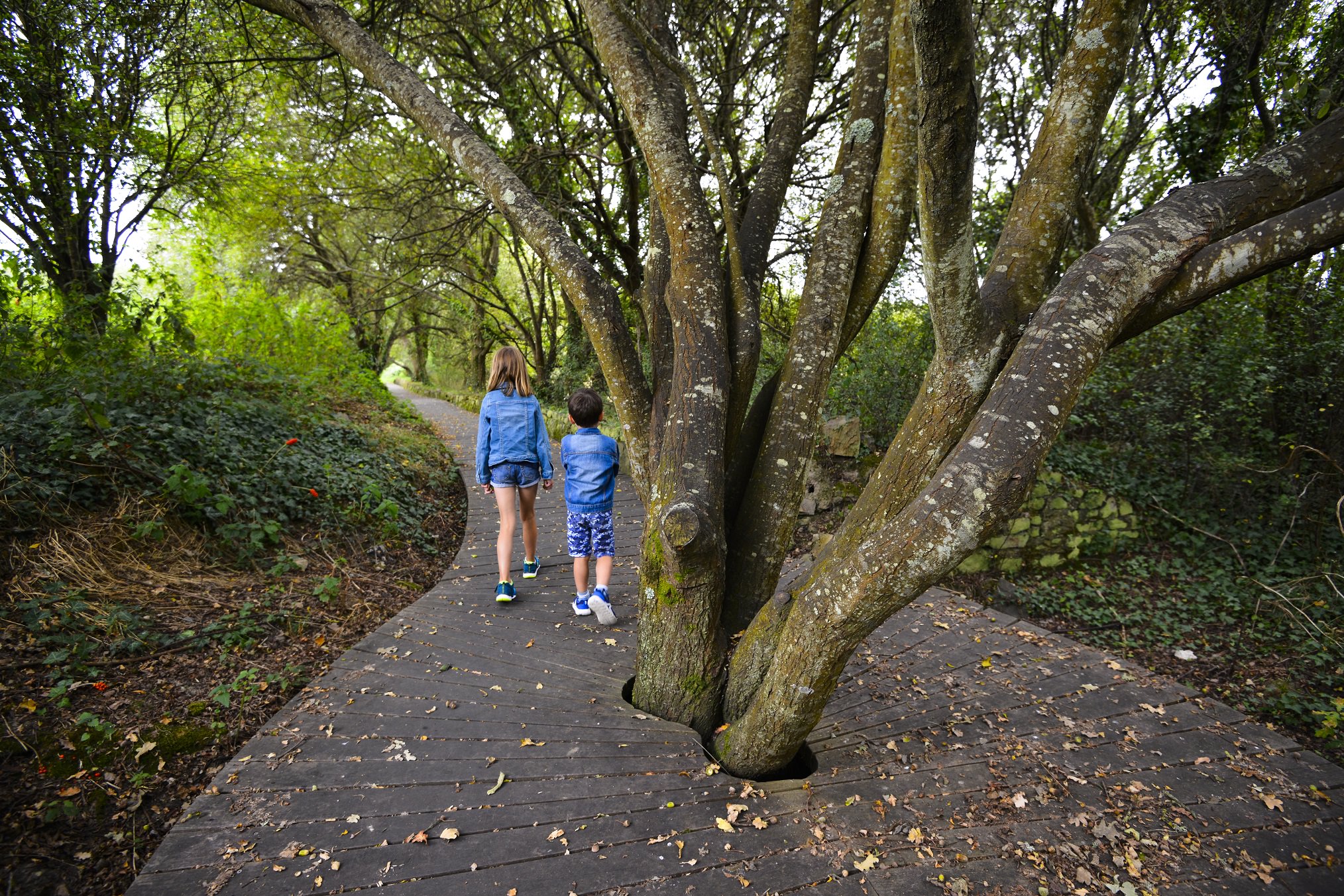 Locmiquélic, enfants se promenant au milieu de la réserve de Pen Man