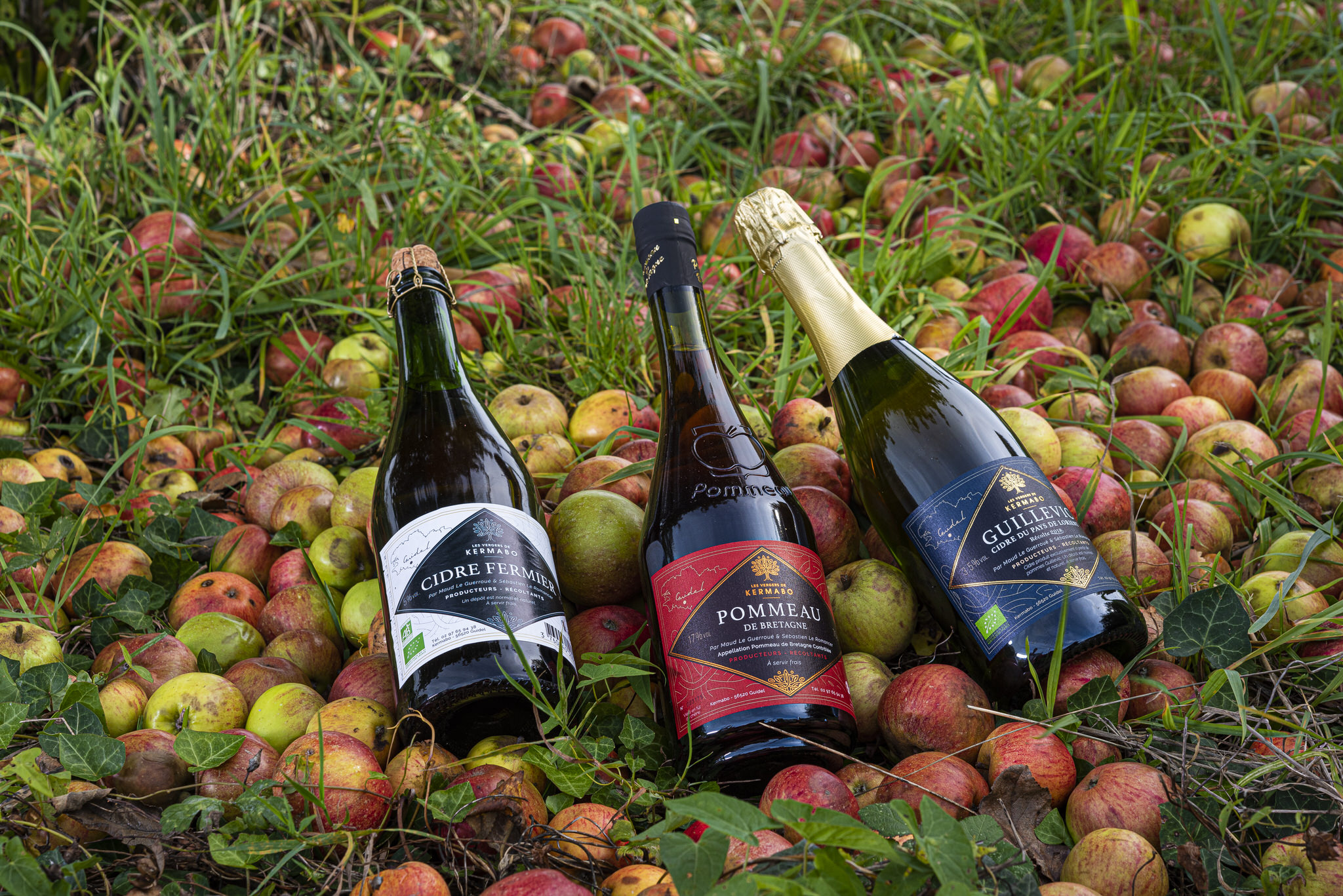 Guidel, bouteilles de cidre dans verger - ©Xavier DUBOIS - LBST