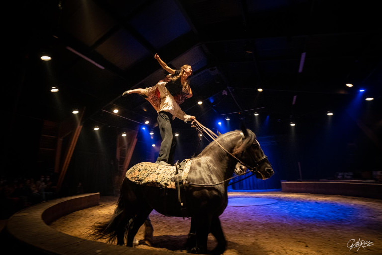 Voltigeurs au Grand Spectacle de Noël "Manoucherie Auvergnate" de la Compagnie Diego N'Co au Haras national d'Hennebont (Morbihan)