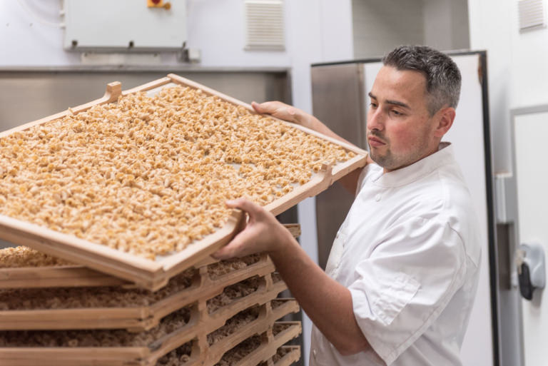 Élaboration de pâtes artisanales, savoir-faire agricole chez Pâtes Le Ruyet à Languidic (Morbihan)