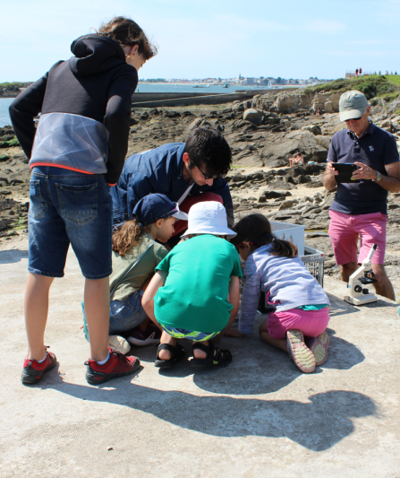 Sorties nature et activités scientifiques pour les enfants avec l'Observatoire du Plancton à Port-Louis (Morbihan)