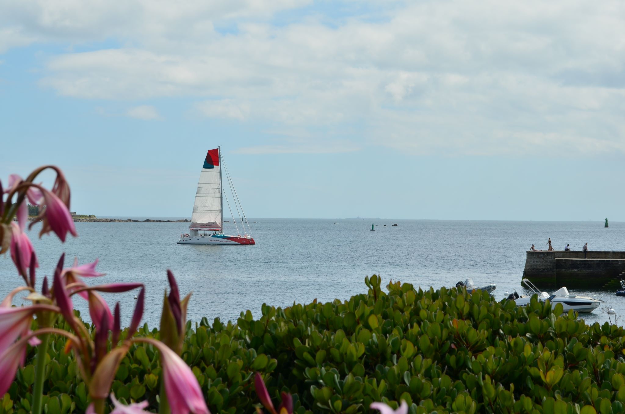 Catamaran Voilà Sailcoop, traversées et croisières à la voile Concarneau Les Glénan (Finistère)