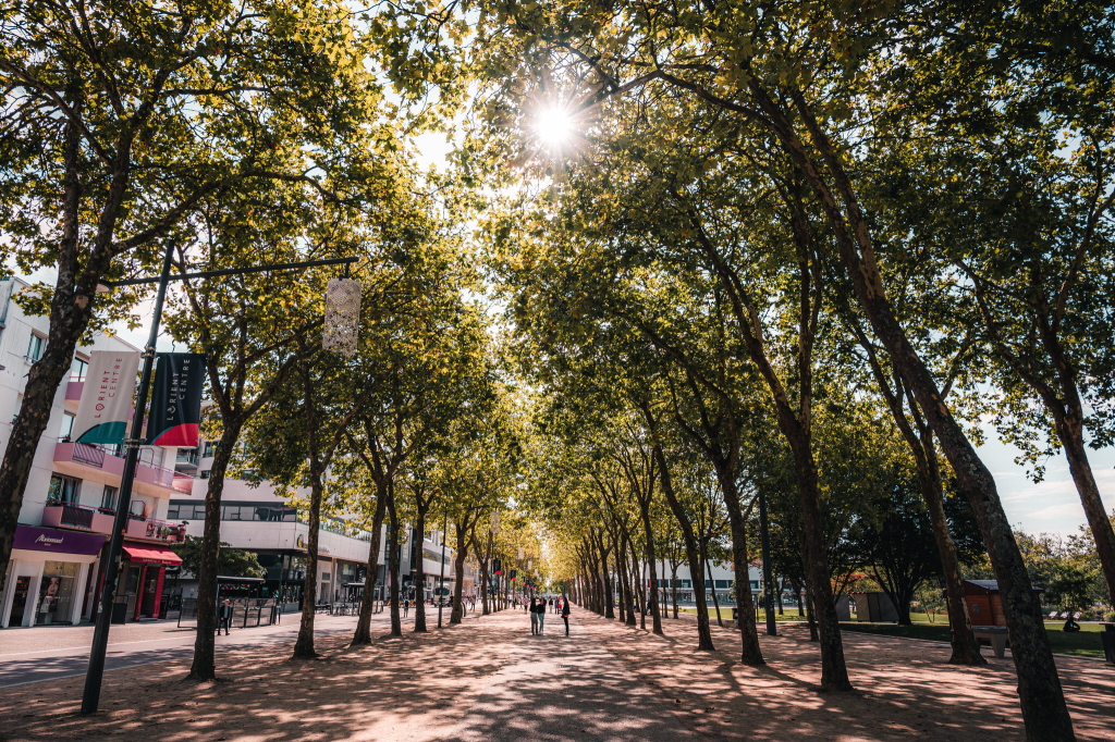 Allée arborée à la place et du parc Jules Ferry dans le centre-ville de Lorient (Morbihan)