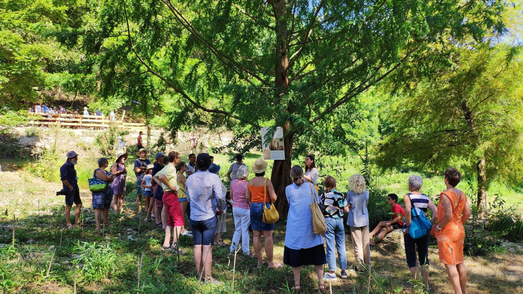 Visite guidée du jardin de thé Filleule des Fées à Languidic (Morbihan) 