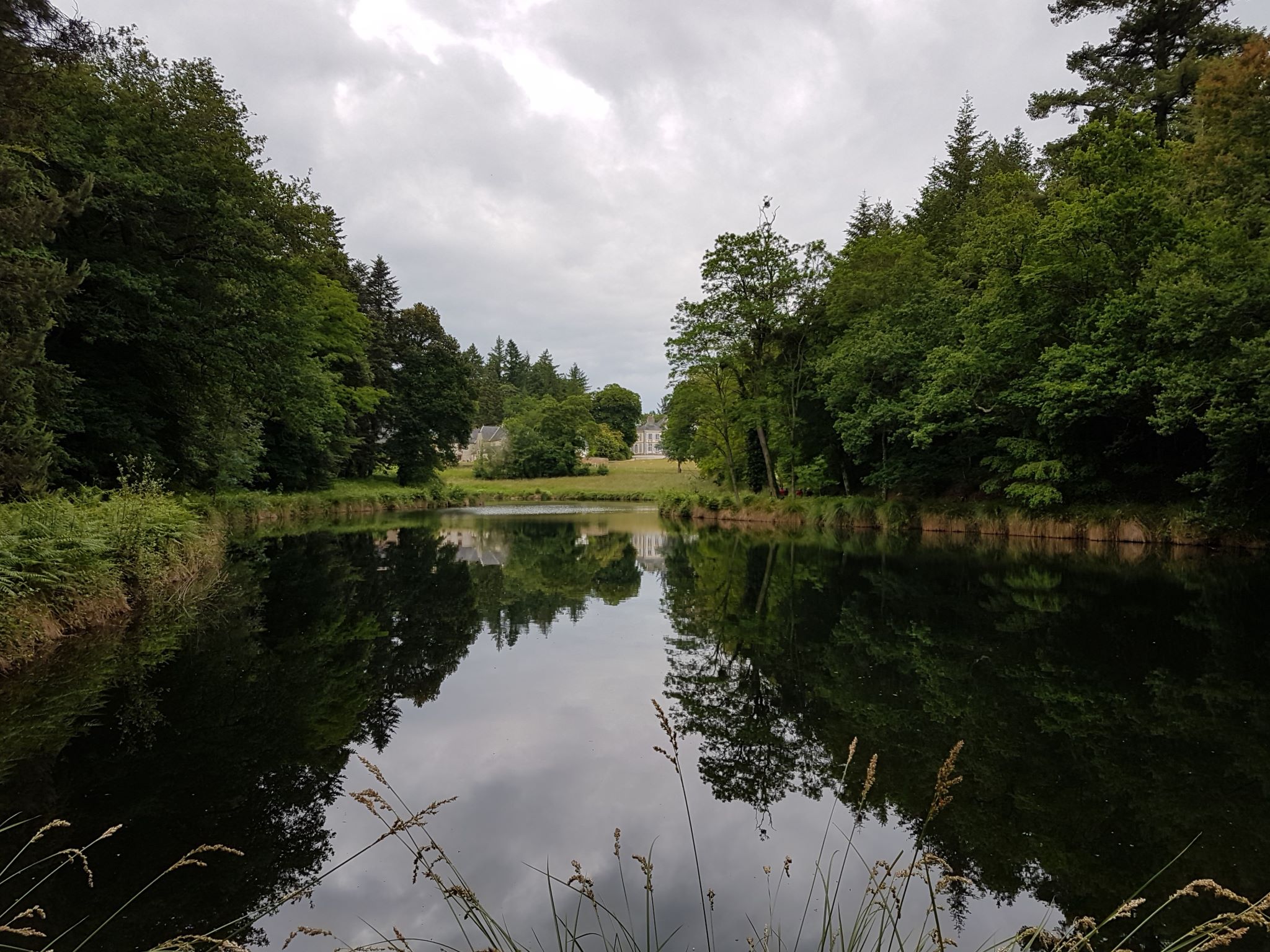 Vue sur le château depuis le domaine de Kerlivio à Brandérion (Morbihan)