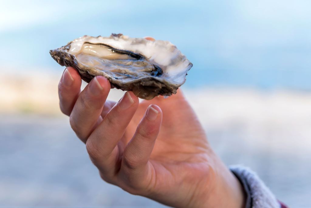 Dégustation d'une assiette d'huîtres à Port-Tudy, sur l'île de Groix (Morbihan)