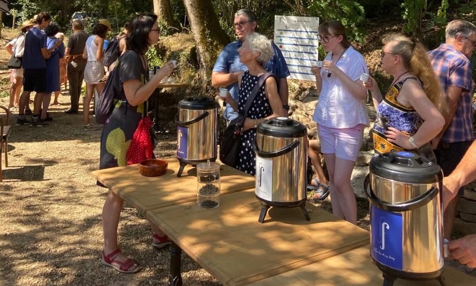 Visite dégustation au Jardin de Thé de la Filleule des Fées à Languidic (Morbihan)