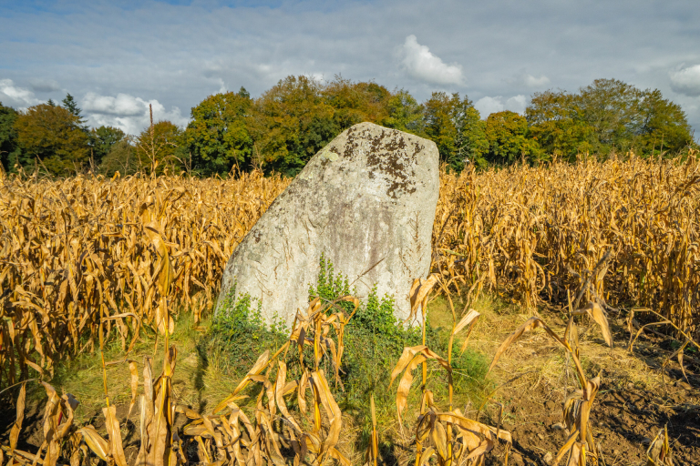 Menhir du village de Keranroue à Cléguer (Morbihan)