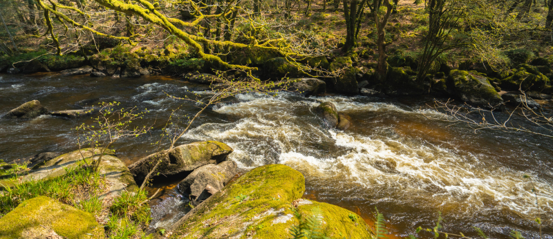 Rivière le Scorff dans la Forêt de Pont Calleck à Plouay (Morbihan)