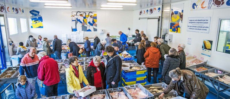 Poissonnerie du port de pêche de Keroman, Moulin Marée à Lorient (Morbihan)