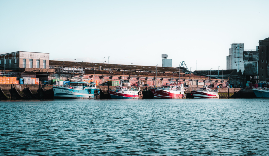 Bateaux à quai au port de pêche de Keroman, Lorient (Morbihan)