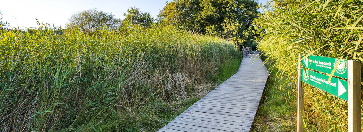 Chemin de randonnée pour balade à Pont-Scorff