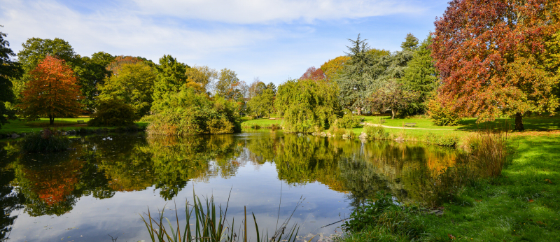 Etang du Parc du Plessis de Lanester