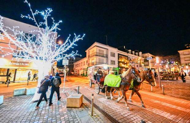 Illuminations et calèche de Noël dans le centre-ville de Lorient (Morbihan)