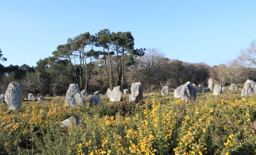 Alignements des menhirs à Carnac (Morbihan)