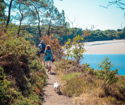 Balade avec son chien sur les rives de la Laïta du côté de Guidel (Morbihan)