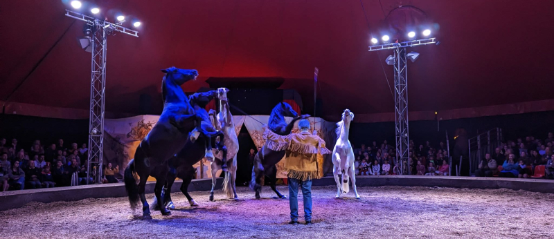 Spectacle équestre Once Upon a Time sous le chapiteau du Haras National d'Hennebont (Morbihan)